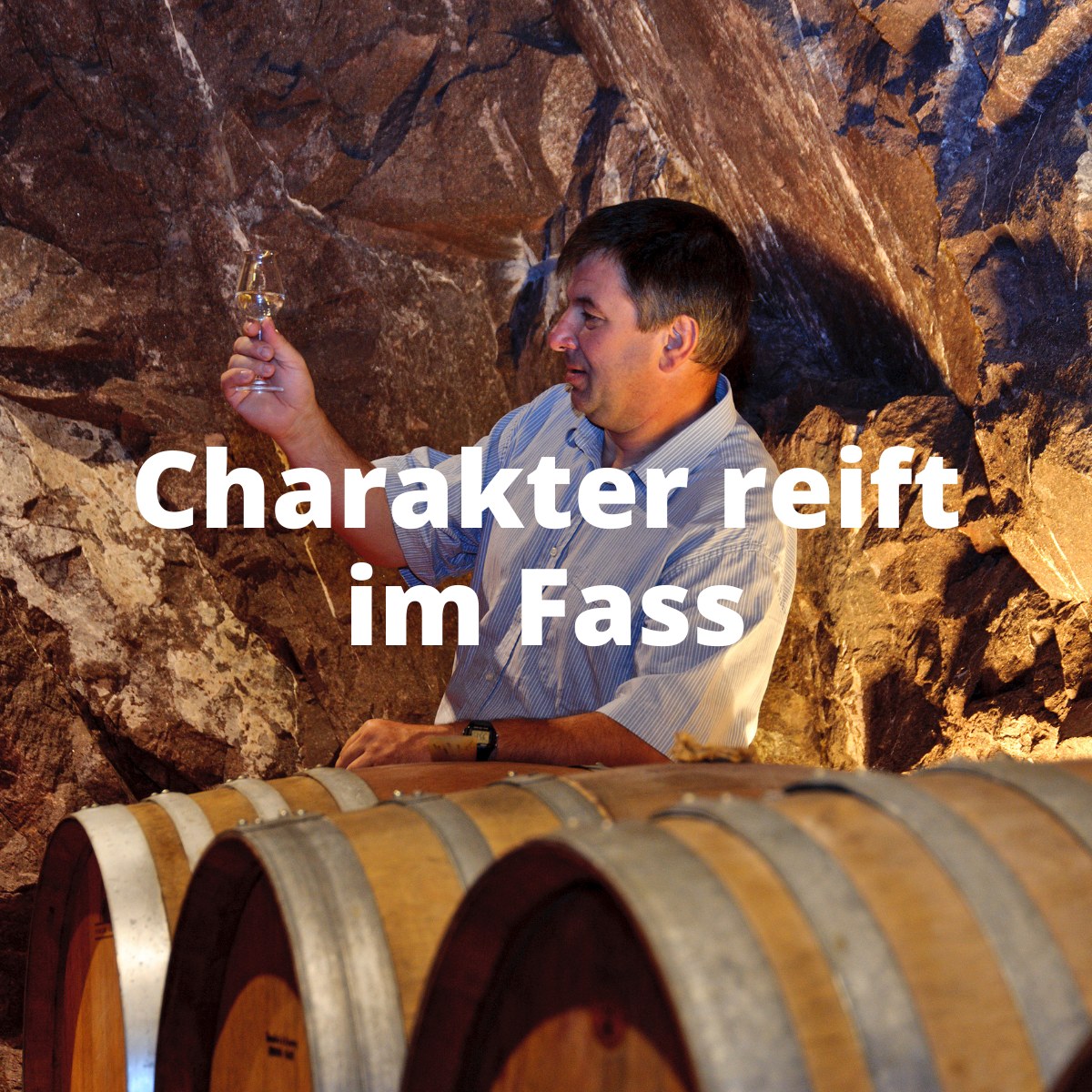 Fässer in der Gutsbrennerei Walcher Tramin Südtirol 