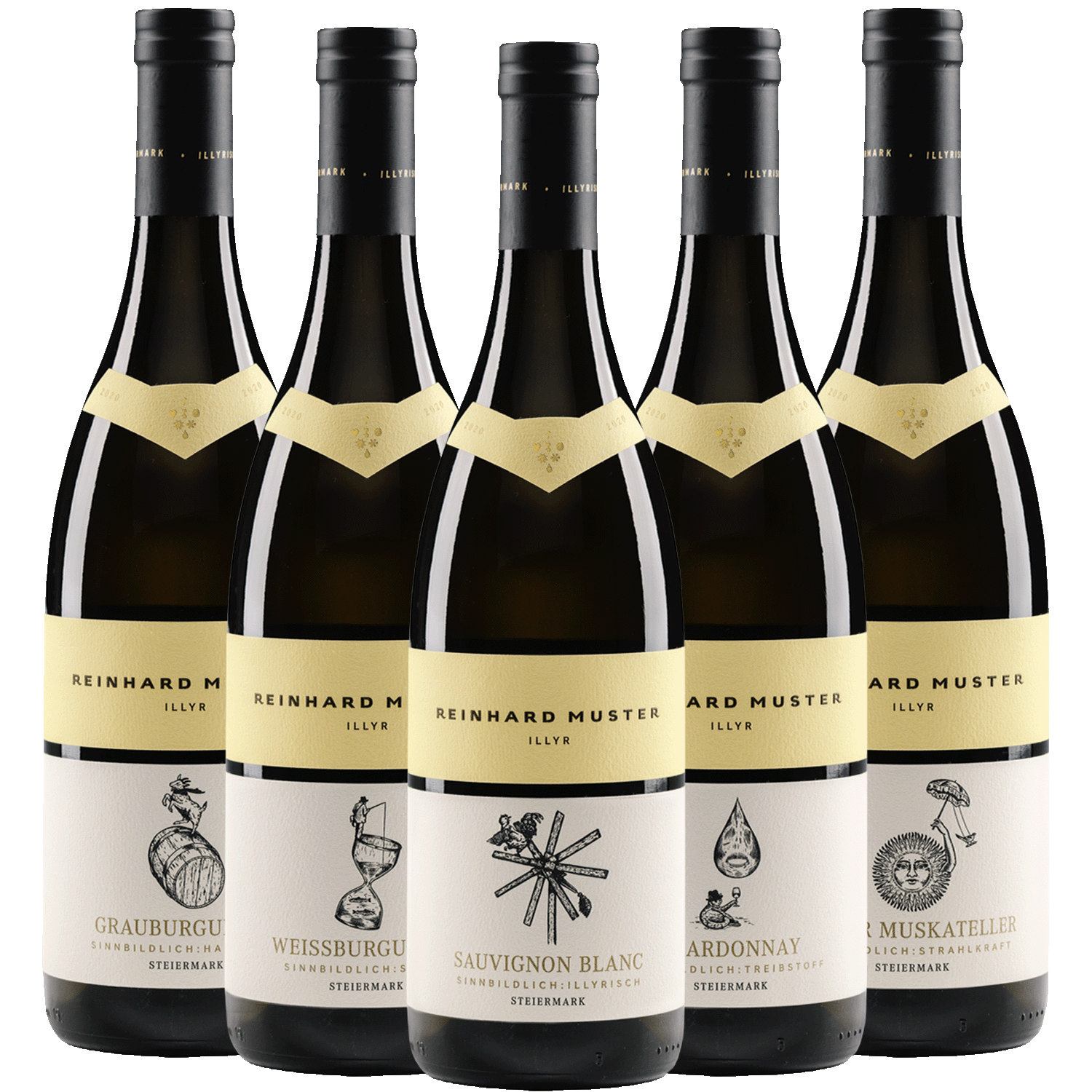 Muster Gamlitz Wein Probierpaket Illyr