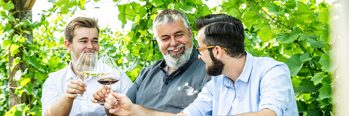 Winery Family Auer