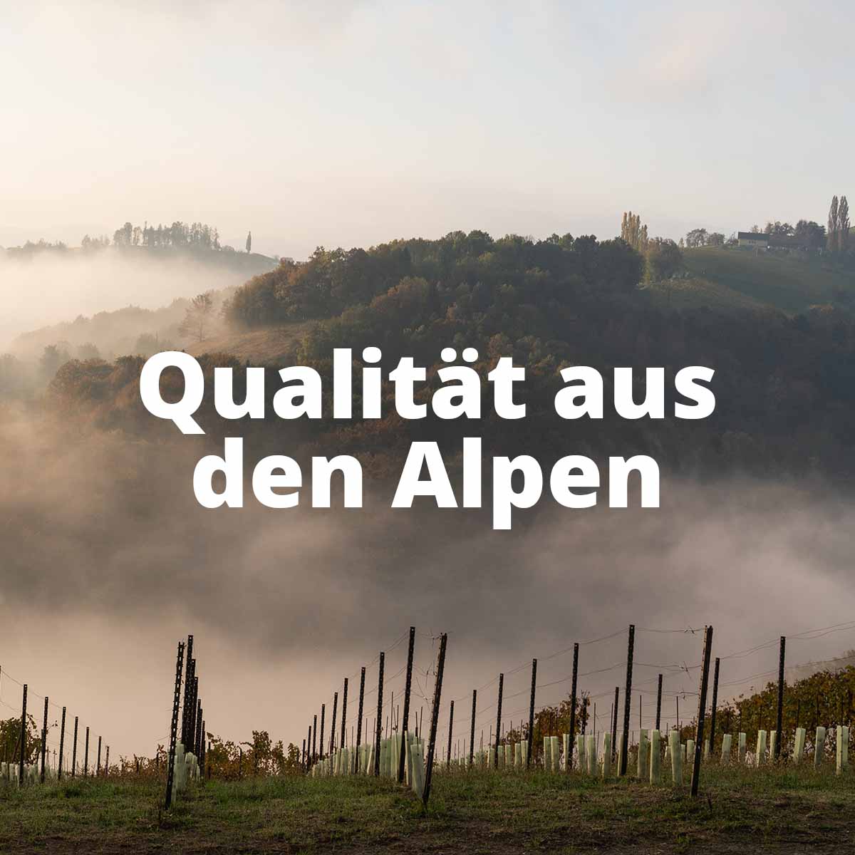 Wine from the Alps