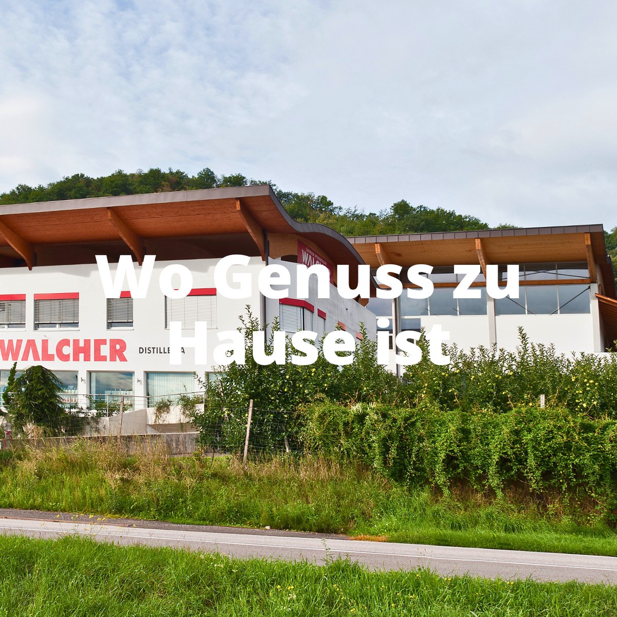 Firmensitz Gutsbrennerei Walcher Tramin Südtirol 