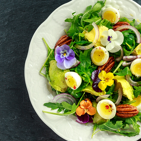 Wilder Kräutersalat