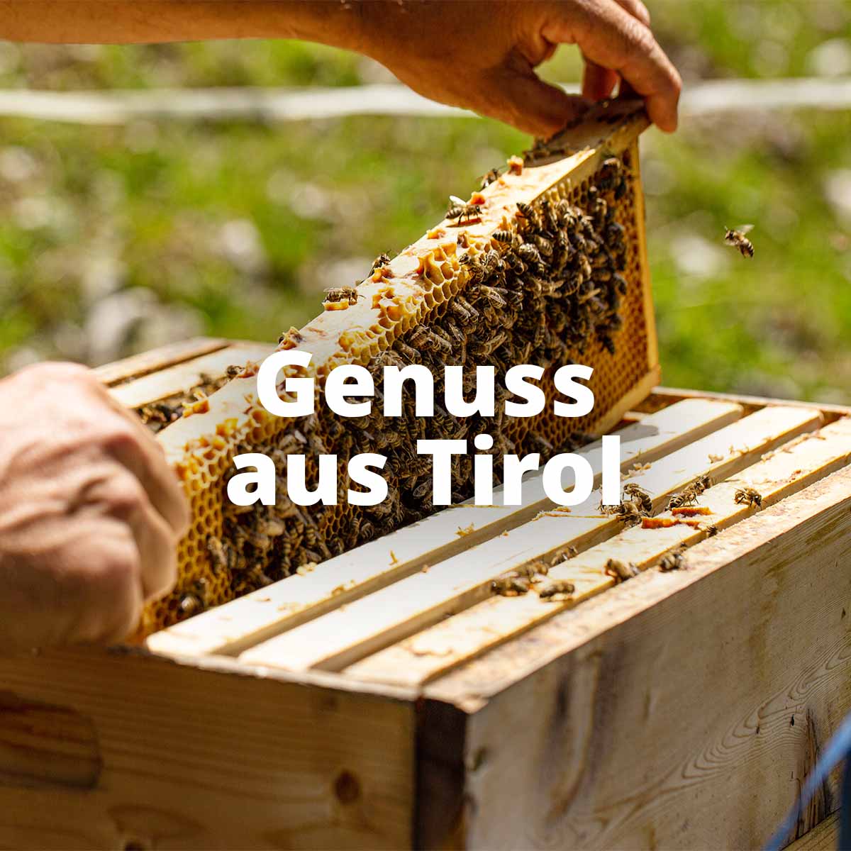 Mountain Honey from Stubai Tirol