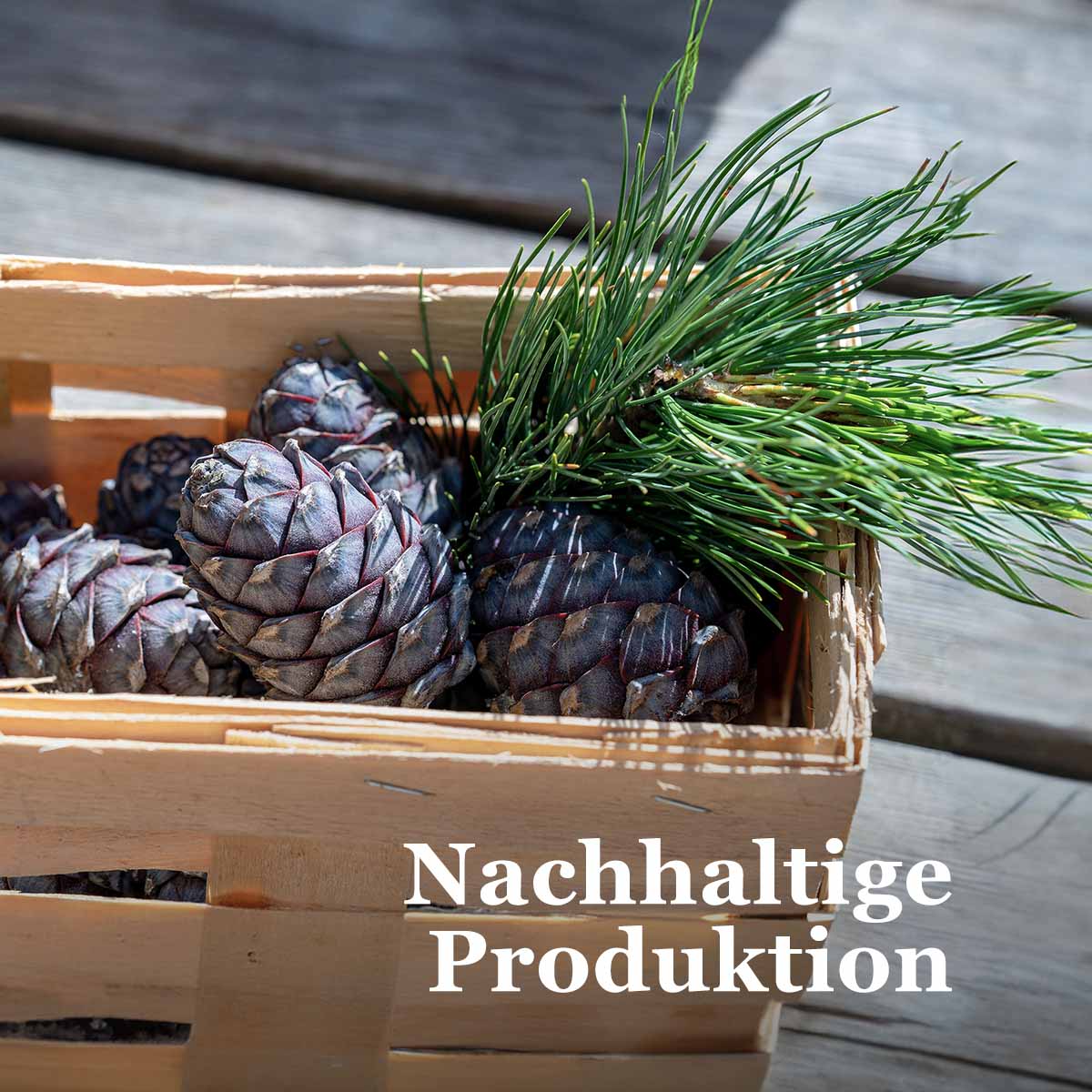 Nachhaltige Produktion von Tirol Geniessen Zirben Spezialitäten