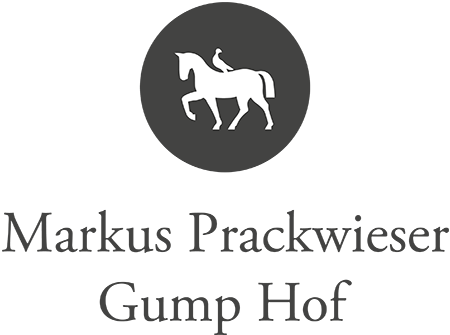 Weinmanufaktur Markus Prackwieser Gumphof
