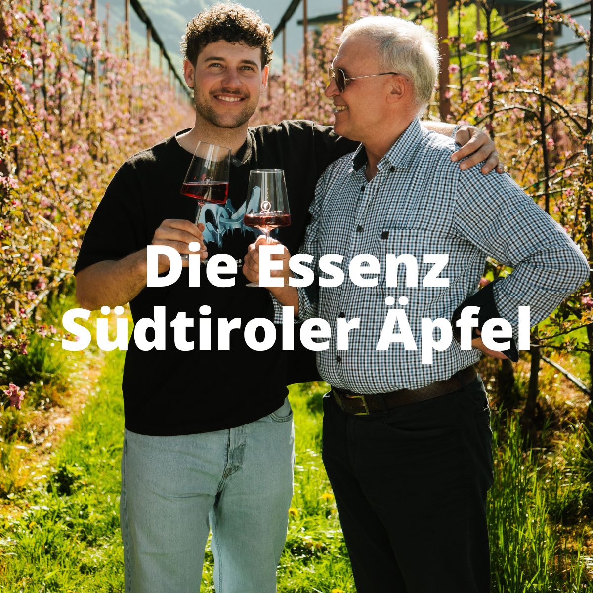 Alkoholfreier Apfelaperitiv aus Südtirol von Rocco